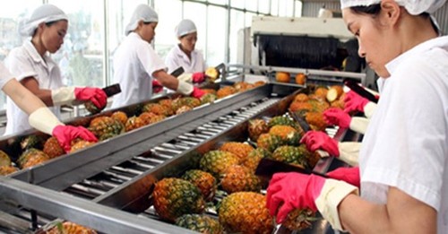 Fruit exports likely to reach over 2 billion USD - ảnh 1